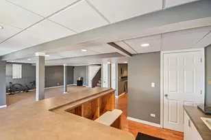 2834 Forestview Dr, Carpentersville, IL 60110 - Photo 37