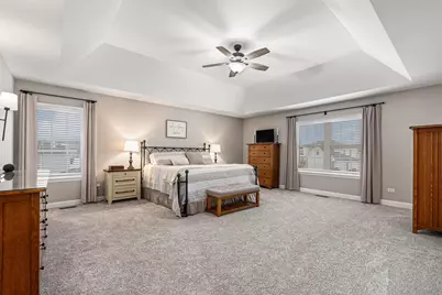 178 W Otto Drive, New Lenox, IL 60451 - Photo 17