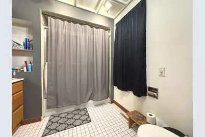 517 W Beaver Street, Saint Anne, IL 60964 - Photo 5