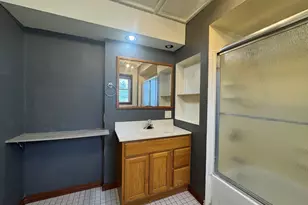 517 W Beaver St, Saint Anne, IL 60964 - Photo 9