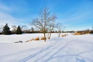 23 Red Tail Dr, Hawthorn Woods, IL 60047 - Photo 31