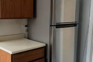 9517 S Merrion Ave, Chicago, IL 60617 - Photo 3