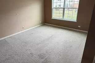 9911 Williams Dr, Huntley, IL 60142 - Photo 11