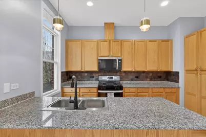 1151 E 46th Street, Chicago, IL 60653 - Photo 9