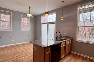 1151 E 46th St, Chicago, IL 60653 - Photo 13