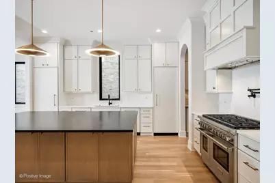 2214 W Oakdale Avenue, Chicago, IL 60618 - Photo 3