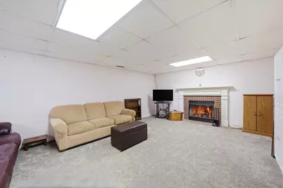 54 Village Woods Drive, Crete, IL 60417 - Photo 17