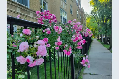 1908 W Chase Avenue #203, Chicago, IL 60626 - Photo 21