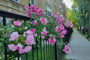 1908 W Chase Ave, Chicago, IL 60626 - Photo 21