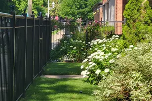 1908 W Chase Ave, Chicago, IL 60626 - Photo 23