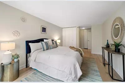 440 N Wabash Avenue #1406, Chicago, IL 60611 - Photo 13