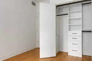 202 E Walton Pl, Chicago, IL 60611 - Photo 11