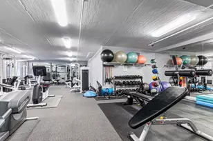 21 W Chestnut St, Chicago, IL 60610 - Photo 19