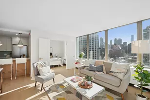 1455 N Sandburg Terrace, Chicago, IL 60610 - Photo 9