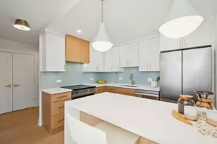 1455 N Sandburg Terrace, Chicago, IL 60610 - Photo 7