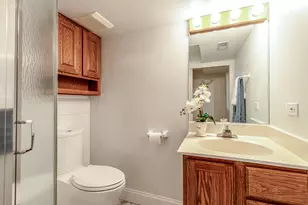 16373 W Menna Ln, Lincolnshire, IL 60069 - Photo 33