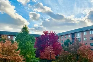 875 E 22nd St, Lombard, IL 60148 - Photo 47