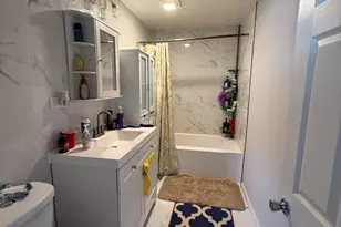 24522 W Norelius Ave, Round Lake, IL 60073 - Photo 11