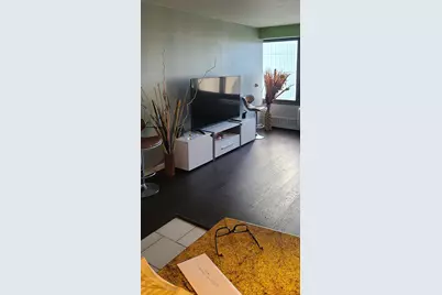 [Address not provided], Chicago, IL 60660 - Photo 11