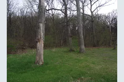 Lot 012 Tuscola Avenue, Saint Charles, IL 60174 - Photo 1