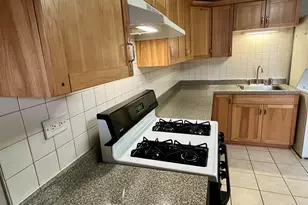 3535 S Lowe Ave, Chicago, IL 60609 - Photo 13