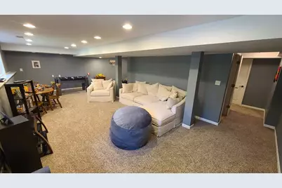 24412 S Dupage Drive, Channahon, IL 60410 - Photo 19