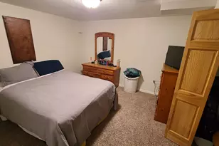 24412 S Dupage Dr, Channahon, IL 60410 - Photo 17