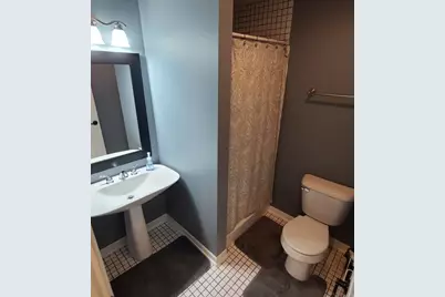 24412 S Dupage Drive, Channahon, IL 60410 - Photo 23