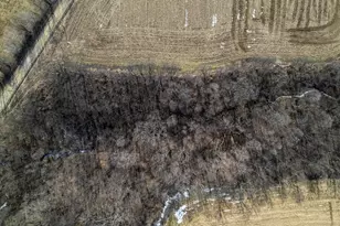 3114 S Rush Creek Rd, Stockton, IL 61085 - Photo 59