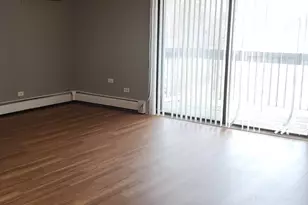 4561 Heartland Dr, Richton Park, IL 60471 - Photo 5