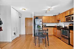 211 E Ohio St, Chicago, IL 60611 - Photo 7