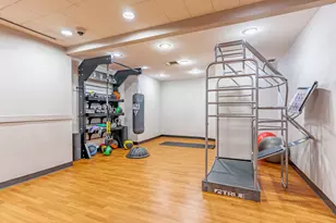 211 E Ohio St, Chicago, IL 60611 - Photo 19