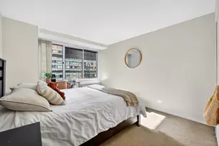 211 E Ohio St, Chicago, IL 60611 - Photo 13