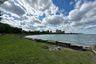 5050 S East End Ave, Chicago, IL 60615 - Photo 31