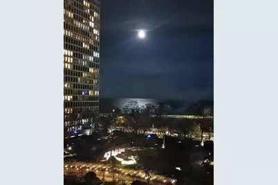 5050 S East End Avenue #9C, Chicago, IL 60615 - Photo 9