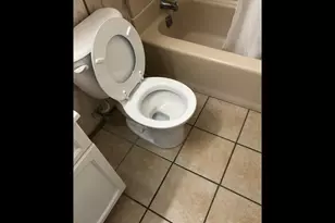 7901 Newland Ave, Burbank, IL 60459 - Photo 9