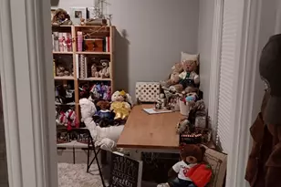 509 S Madison St, Morrison, IL 61270 - Photo 17