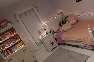 509 S Madison St, Morrison, IL 61270 - Photo 13