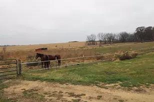 15651 Rock Grove Rd, Durand, IL 61024 - Photo 5