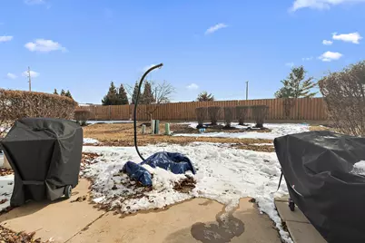 25029 Clare Circle, Manhattan, IL 60442 - Photo 21