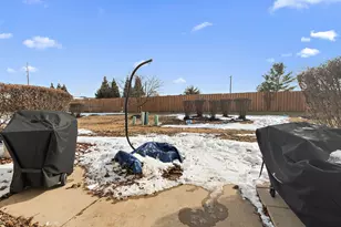 25029 Clare Cir, Manhattan, IL 60442 - Photo 21