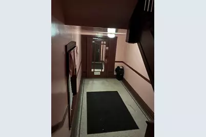 340 S Homan Street, Chicago, IL 60624 - Photo 47