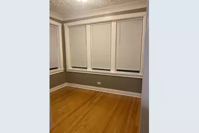 340 S Homan Street, Chicago, IL 60624 - Photo 37