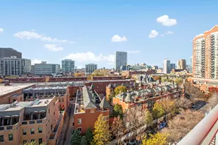 1841 S Calumet Ave, Chicago, IL 60616 - Photo 15