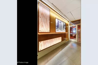 400 E Randolph Street #3715, Chicago, IL 60601 - Photo 25