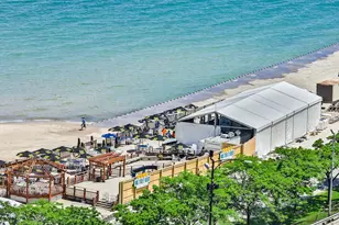 1000 N Lake Shore Dr, Chicago, IL 60611 - Photo 31