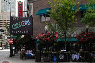 1000 N Lake Shore Dr, Chicago, IL 60611 - Photo 33