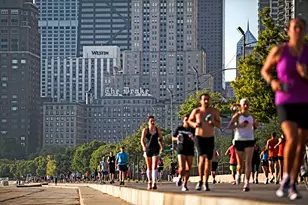 1000 N Lake Shore Dr, Chicago, IL 60611 - Photo 31