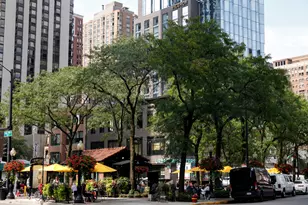 1000 N Lake Shore Dr, Chicago, IL 60611 - Photo 35