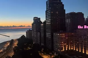 1000 N Lake Shore Dr, Chicago, IL 60611 - Photo 7